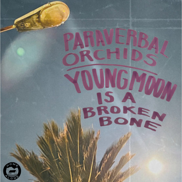 Broken orchid, Yound Moon is a Broken Bone cover