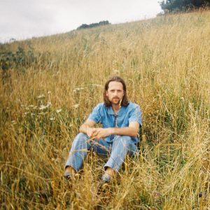 Sig in a meadow